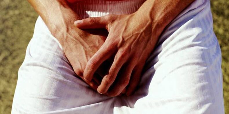 The palms loaded in the groin